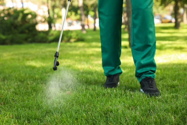 Wasp Removal Services in Prior Lake, MN